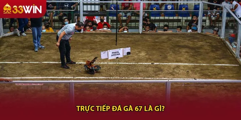 Trực tiếp đá gà 67 là gì?